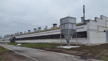 Продажа птицефабрики